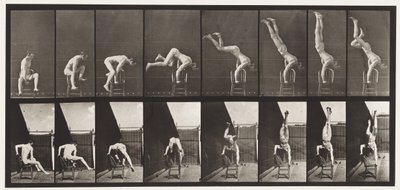 Tafel 373. Akrobat, Druck nach oben vom Stuhl von Eadweard Muybridge