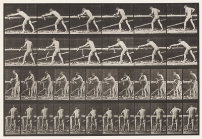 Tafel 379. Zimmermann, ein Brett hobeln, 1872-1885 von Eadweard Muybridge