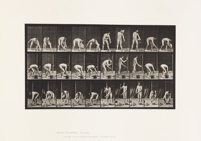 Tafel 506. Ziegelsteine legen von Eadweard Muybridge