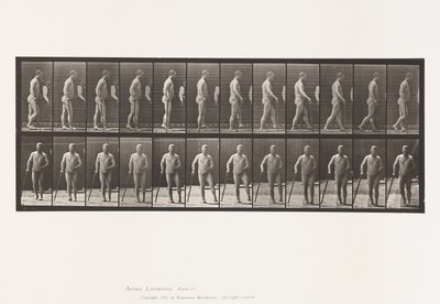 Tafel 552. Hemiplegie; Gehen mit Stock, 1885 von Eadweard Muybridge