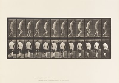 Tafel 558. Paraplegie; Teilweise; Gehen, 1885 von Eadweard Muybridge