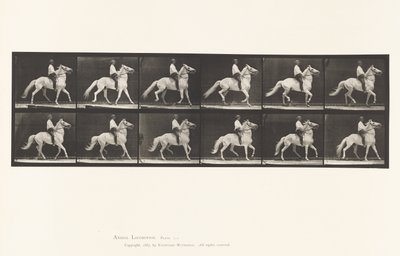 Schlendern von Eadweard Muybridge