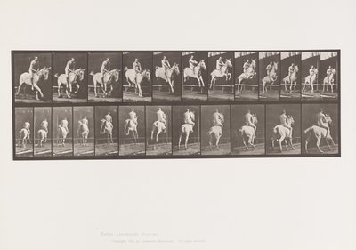 Tafel 647. Springt über ein Hindernis; Ohne Sattel; Reiter von Eadweard Muybridge