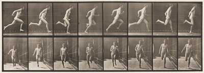 Tafel 67. Laufen von Eadweard Muybridge