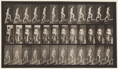 Tafel 81. Steigung hinaufsteigen von Eadweard Muybridge