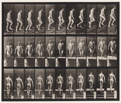 Tafel 88. Treppensteigen von Eadweard Muybridge