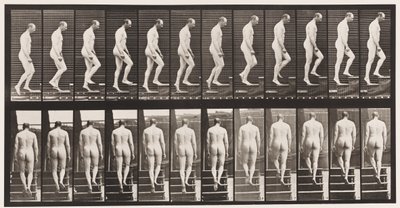 Tafel 89. Treppensteigen von Eadweard Muybridge