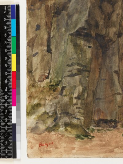 Felsen bei Bagnoles-De-L