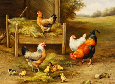 Hühner und Küken beim Füttern von Edgar Hunt