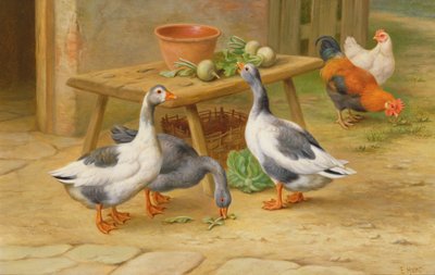 Gänse und Geflügel beim Füttern von Edgar Hunt