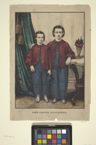 Die kleinen Brüder von Edmund Burke Kellogg