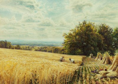 Die Erntearbeiter, 1865 von Edmund George Warren