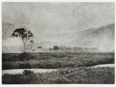 Oze Nebel, 1993 von Edouard Cremieux