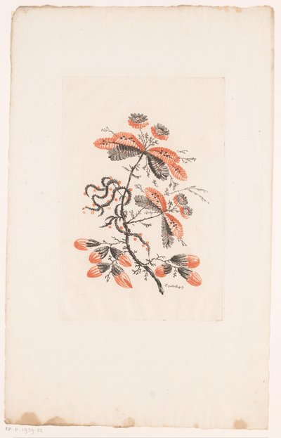 Blumen und Knospen von Edouard Gautier Dagoty