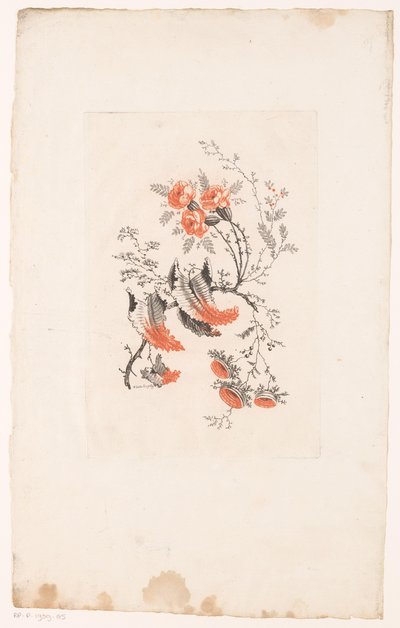 Diverse Fantasieblumen (Fleurs Idéales) von Edouard Gautier Dagoty