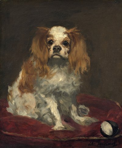 Ein King Charles Spaniel, ca. 1866 von Édouard Manet