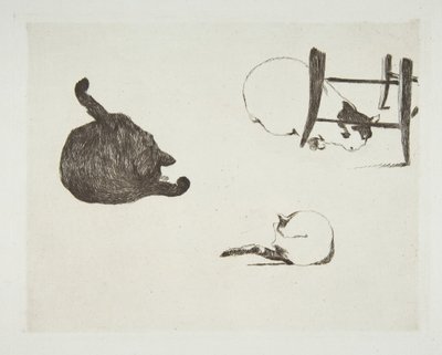 Katzen, 1868-69 von Édouard Manet
