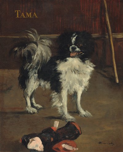 Tama, der japanische Hund, ca. 1875 von Édouard Manet