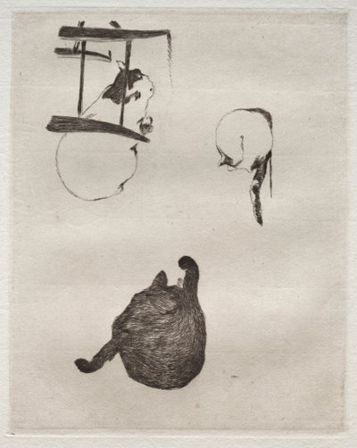 Die Katzen von Édouard Manet