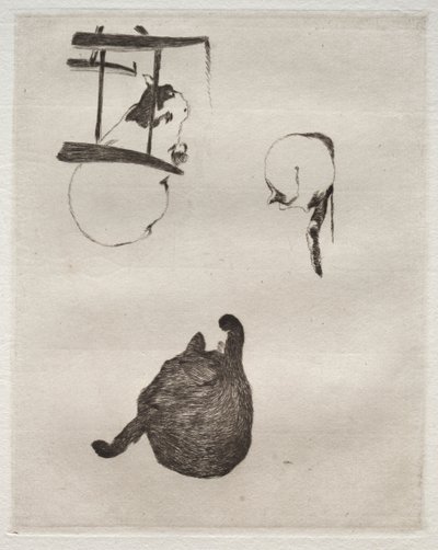 Die Katzen von Édouard Manet