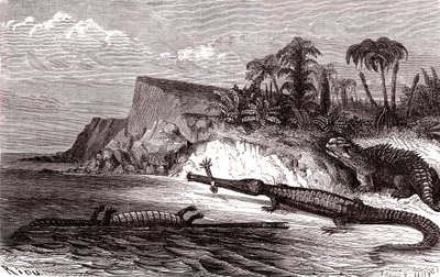 Der Teleosaurus und der Hyleosaurus von Edouard Riou