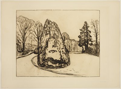 Der Garten von Edvard Munch
