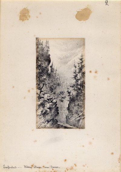 Wiesenstraße bei Davos, Schweiz, 1898-99 von Edward Adrian Wilson