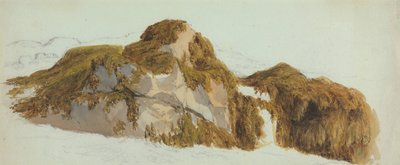 Studie von Felsen mit Seetang bedeckt von Edward Duncan