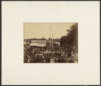 Elefanten ziehen durch die Stadt, Maple City von Edward H. Hart