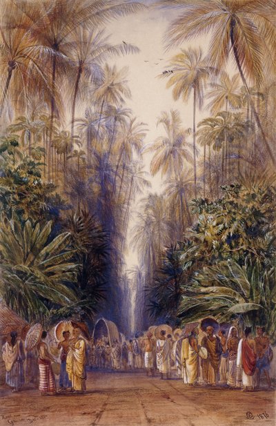 Auf dem Weg nach Galle, Ceylon von Edward Lear