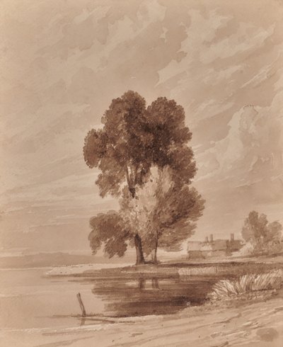 Landschaft mit Bäumen von Edward Pretty