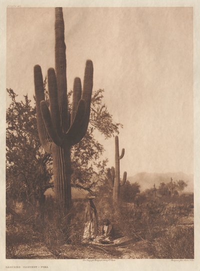 Portfolio II, Platten 40-75 von Edward S. Curtis