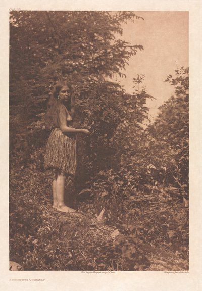 Portfolio IX, Platten 293-328 von Edward S. Curtis