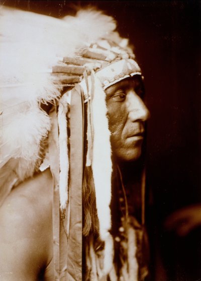 Schönes Gemälde von Edward Sheriff Curtis