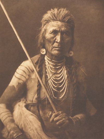Wolf - Apsaroke von Edward Sheriff Curtis