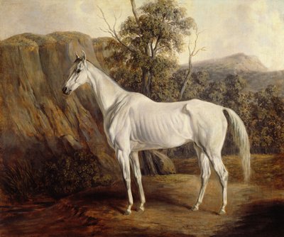 Bolivien, 1836 von Edward Troye