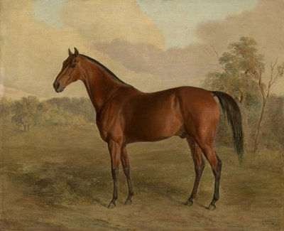 Kentucky Specht, 1834 von Edward Troye