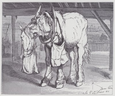 Ein Kaltblutpferd von Edwin (after) Landseer