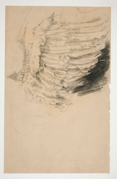 Studie eines Flügels für von Edwin Austin Abbey
