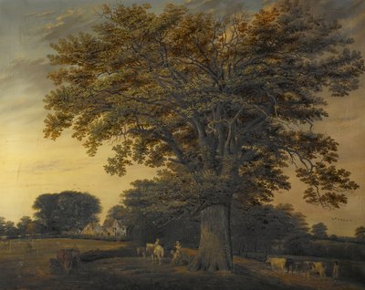 Die Binley-Eiche, 1848 von Edwin Brown