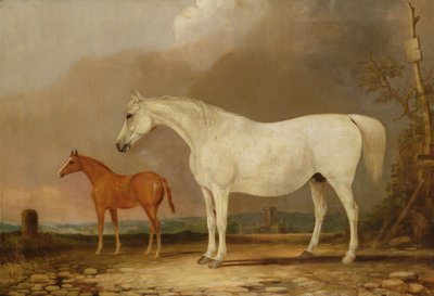 Unbekanntes Bild von Edwin Cooper