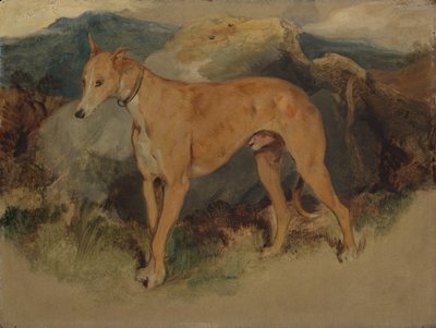 Ein Hirschhund, 1826 von Edwin Landseer