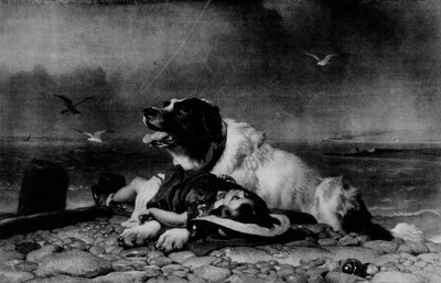 Gerettet!, um 1856 von Edwin Landseer