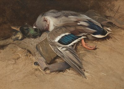 Stockente von Edwin John Alexander
