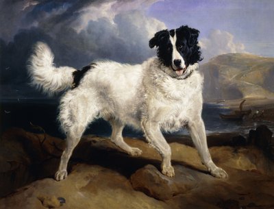 Porträt von Neptun, 1824 von Edwin Landseer