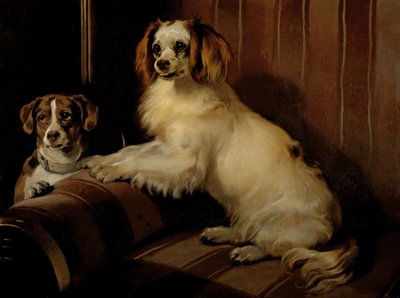 Bon(e)y und Var, um 1843 von Edwin Landseer