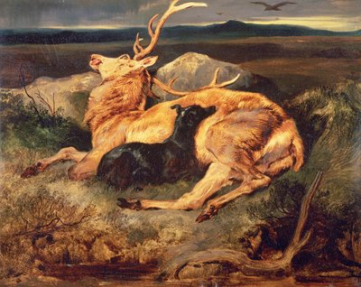 Hirsch von Edwin Landseer