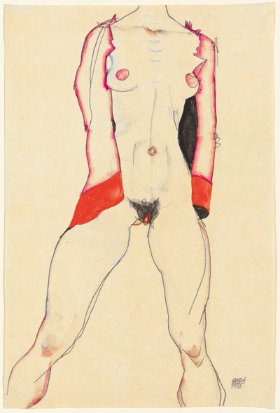 Weiblicher Torso von Egon Schiele