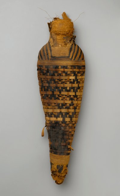 Mumie eines Falken von Egyptian