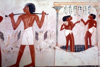 Unbekanntes Bild von Egyptian 18th Dynasty